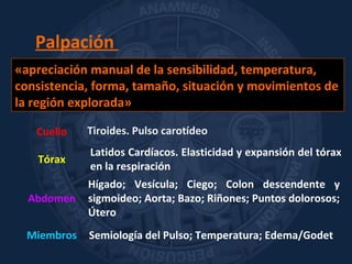 Palpación
«apreciación manual de la sensibilidad, temperatura,
consistencia, forma, tamaño, situación y movimientos de
la región explorada»
Tórax
Latidos Cardíacos. Elasticidad y expansión del tórax
en la respiración
Abdomen
Hígado; Vesícula; Ciego; Colon descendente y
sigmoideo; Aorta; Bazo; Riñones; Puntos dolorosos;
Útero
Cuello Tiroides. Pulso carotídeo
Miembros Semiología del Pulso; Temperatura; Edema/Godet
 