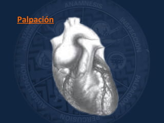 Palpación
 