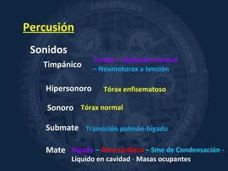 Sonoro
Sonidos
Hipersonoro
Timpánico
Submate
Mate
Traube – Abdomen normal
– Neumotorax a tensión
Tórax enfisematoso
Tórax normal
Transición pulmón-hígado
Hígado – Área cardíaca – Sme de Condensación -
Líquido en cavidad - Masas ocupantes
Percusión
 