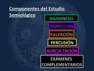 Componentes del Estudio
Semiológico
ANAMNESIS
INSPECCIÓN
PALPACIÓN
PERCUSIÓN
AUSCULTACIÓN
EXÁMENES
COMPLEMENTARIOS
 