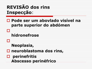 REVISÃO dos rins
Inspecção:
 Pode ser um abovlado visível na
parte superior do abdómen

hidronefrose

Neoplasia,
 neuroblastoma dos rins,
 perinefritis
Abscesso perinéfrico
 