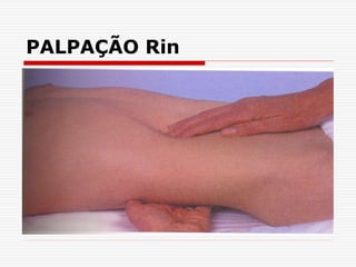 PALPAÇÃO Rin
 