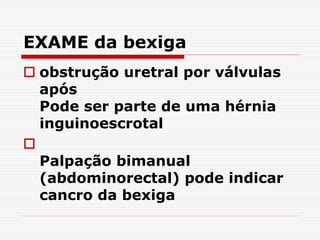 EXAME da bexiga
 obstrução uretral por válvulas
após
Pode ser parte de uma hérnia
inguinoescrotal

Palpação bimanual
(abdominorectal) pode indicar
cancro da bexiga
 