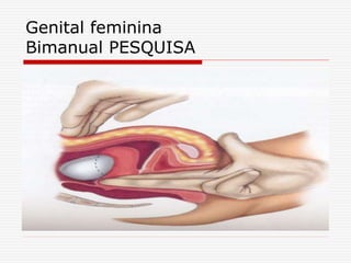 Genital feminina
Bimanual PESQUISA
 