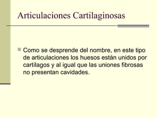 Articulaciones Cartilaginosas
 Como se desprende del nombre, en este tipo
de articulaciones los huesos están unidos por
cartílagos y al igual que las uniones fibrosas
no presentan cavidades.
 