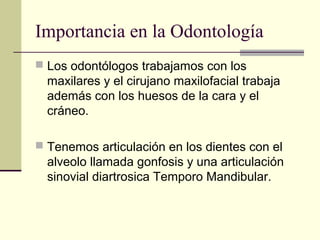 Importancia en la Odontología
 Los odontólogos trabajamos con los 
maxilares y el cirujano maxilofacial trabaja 
además con los huesos de la cara y el 
cráneo.
 Tenemos articulación en los dientes con el 
alveolo llamada gonfosis y una articulación 
sinovial diartrosica Temporo Mandibular.
 