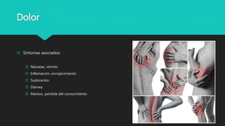 Dolor
 Síntomas asociados:
 Náuseas, vómito
 Inflamación, enrojecimiento
 Sudoración
 Diarrea
 Mareos, perdida del conocimiento
 