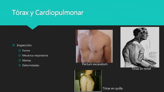 Inspección:
 Forma
 Mecánica respiratoria
 Mamas
 Deformidades
Tórax y Cardiopulmonar
Pectum excavatum
Tórax en tonel
Tórax en quilla
 