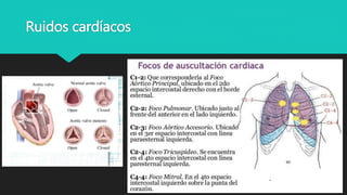 Ruidos cardíacos
 