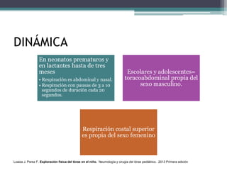 DINÁMICA
En neonatos prematuros y
en lactantes hasta de tres
meses
• Respiración es abdominal y nasal.
• Respiración con pausas de 3 a 10
segundos de duración cada 20
segundos.
Escolares y adolescentes=
toracoabdominal propia del
sexo masculino.
Respiración costal superior
es propia del sexo femenino
Loaiza J. Perez F. Exploración física del tórax en el niño. Neumología y cirugía del tórax pediátrico. 2013 Primera edición
 