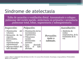 Síndrome de atelectasia
Falta de aeración o ventilación distal. Aneumatosis o colapso
pulmonar del recién nacido. atelectasia en primaria y secundaria
. pulmonar total, lobar, segmentaria y subsegmentaria.
Inspección:
• Disminución del
volumen
• Retracción de los
espacios
intercostales,
hueco
supraclavicular o
supraesternal
• Hipomovilidad del
lado afectado.
Palpación:
• Disminución de los
movimientos
respiratorios,
• Vibraciones
vocales
disminuidas o
ausentes
• Ápex desviado
hacia el lado
afectado.
Percusión:
mate o
submate.
Auscultación:
• Abolición de
ruidos
respiratorios, de la
trasmisión de la
voz
Loaiza J. Perez F. Exploración física del tórax en el niño: Dr. Lorenzo Pérez Fernández. Neumología y cirugía pediátrica. Primera edición.
México; 2013. pp249-261
 
