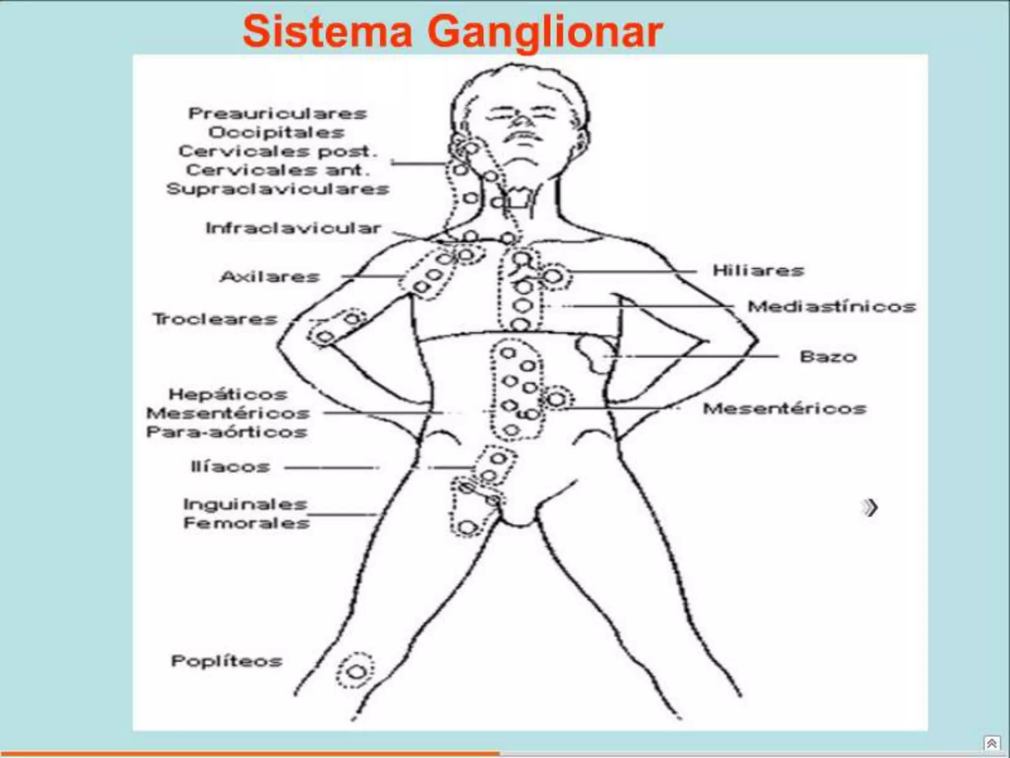 Semiología Pediatrica