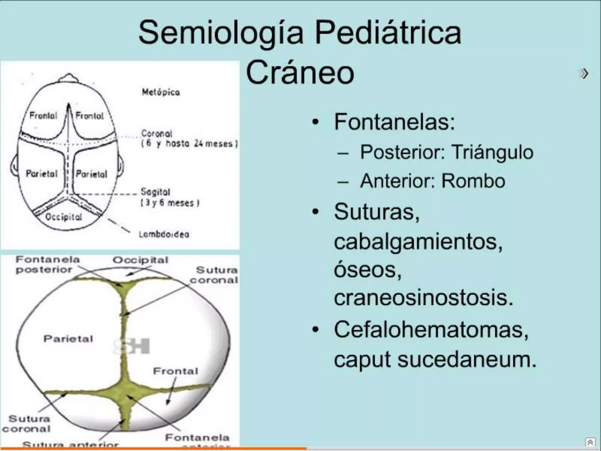 Semiología Pediatrica