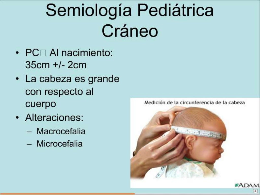 semiologia pediatrica 4 a los siete anos 2056 semiologia pediatrica 4 a los siete anos 2056