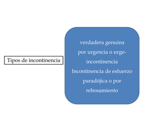 verdadera genuina
                           por urgencia o urge-
Tipos de incontinencia        incontinencia
                         Incontinencia de esfuerzo
                             paradójica o por
                              rebosamiento
 