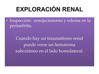 EXPLORACIÓN RENAL
• Inspección: enrojecimiento y edema en la
  perinefritis.

    Cuando hay un traumatismo renal
        puede verse un hematoma
    subcutáneo en el lado homolateral.
 