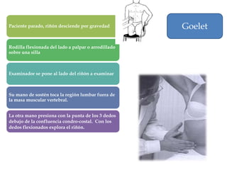 Paciente parado, riñón desciende por gravedad        Goelet

Rodilla flexionada del lado a palpar o arrodillado
sobre una silla



Examinador se pone al lado del riñón a examinar



Su mano de sostén toca la región lumbar fuera de
la masa muscular vertebral.


La otra mano presiona con la punta de los 3 dedos
debajo de la confluencia condro-costal. Con los
dedos flexionados explora el riñón.
 