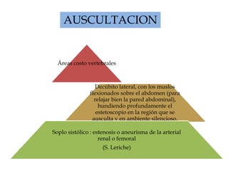 AUSCULTACION


  Áreas costo vertebrales



                 Decúbito lateral, con los muslos
               flexionados sobre el abdomen (para
                 relajar bien la pared abdominal),
                   hundiendo profundamente el
                  estetoscopio en la región que se
                ausculta y en ambiente silencioso.

Soplo sistólico : estenosis o aneurisma de la arterial
                    renal o femoral
                     (S. Leriche)
 