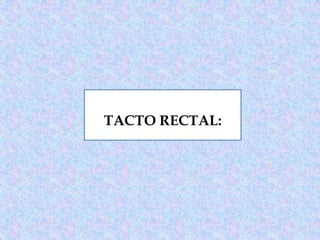 TACTO RECTAL:
 