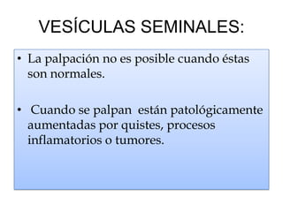 VESÍCULAS SEMINALES:
• La palpación no es posible cuando éstas
  son normales.

• Cuando se palpan están patológicamente
  aumentadas por quistes, procesos
  inflamatorios o tumores.
 