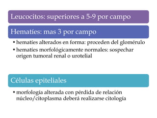 Leucocitos: superiores a 5-9 por campo

Hematíes: mas 3 por campo
• hematíes alterados en forma: proceden del glomérulo
• hematíes morfológicamente normales: sospechar
  origen tumoral renal o urotelial



Células epiteliales
• morfología alterada con pérdida de relación
  núcleo/citoplasma deberá realizarse citología
 