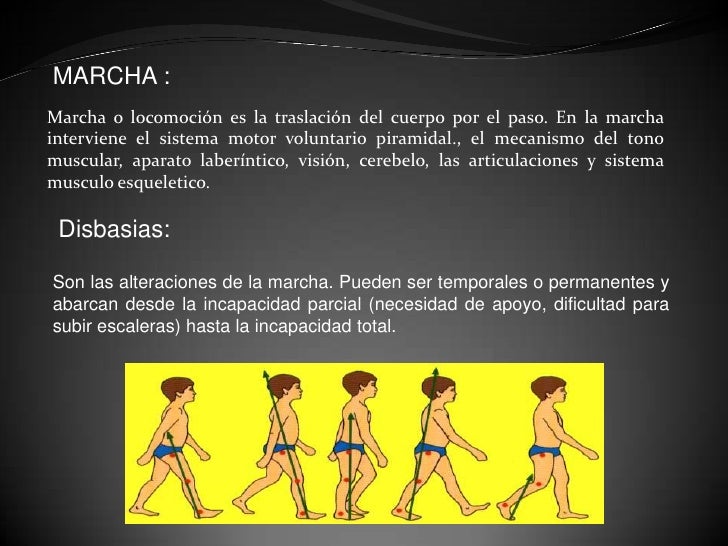 Semiologia clinica de cediel pdf english