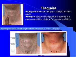 Traquéia
                                  Inspeção:desvios em relação a posição na linha
                                  média
                                  Palpação: palpar o espaço entre a traquéia e o
                                  esternomastóideo bilateral.Devem ser simétricos



A cartilagem tireóide, cricóide e a glândula tireóide elevam-se durante a deglutição
 