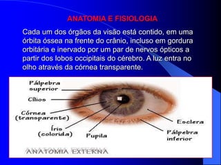 ANATOMIA E FISIOLOGIA
Cada um dos órgãos da visão está contido, em uma
órbita óssea na frente do crânio, incluso em gordura
orbitária e inervado por um par de nervos ópticos a
partir dos lobos occipitais do cérebro. A luz entra no
olho através da córnea transparente.
 
