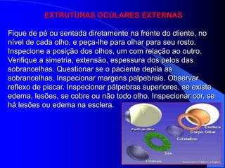 EXTRUTURAS OCULARES EXTERNAS

Fique de pé ou sentada diretamente na frente do cliente, no
nível de cada olho, e peça-lhe para olhar para seu rosto.
Inspecione a posição dos olhos, um com relação ao outro.
Verifique a simetria, extensão, espessura dos pelos das
sobrancelhas. Questionar se o paciente depila as
sobrancelhas. Inspecionar margens palpebrais. Observar
reflexo de piscar. Inspecionar pálpebras superiores, se existe
edema, lesões, se cobre ou não todo olho. Inspecionar cor, se
há lesões ou edema na esclera.
 