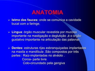 ANATOMIA
   Istmo das fauces: onde se comunica a cavidade
    bucal com a faringe.

   Língua: órgão muscular revestida por mucosa
    importante na mastigação e deglutição ,é o órgão
    gustativo importante na articulação das palavras .

   Dentes: estruturas rijas esbranquiçadas implantadas
    na maxila e mandíbula .São compostos por três
    partes : Raiz-implantadas no alvéolo .
            Coroa- parte livre
             Colo-circundado pela gengiva
 