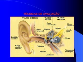 TÉCNICAS DE AVALIAÇÃO
 