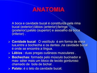 ANATOMIA

    A boca e cavidade bucal é constituída pela rima
    bucal (exterior);lábios (anterior);faringe
    (posterior);palato (superior) e assoalho da boca
    (inferior) .

   Cavidade bucal: O vestíbulo é em forma de meia
    lua,entre a bochecha e os dentes ,na cavidade bucal
    é onde se encontra a língua.
   Lábios : duas pregas cutâneos musculares .
   Bochechas: formada pelo músculo bucinador e
    mas- séter mais um bloco de tecido gorduroso
    chamado de bola de bichat .
   Palato: é o teto da cavidade bucal.
 