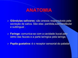 ANATOMIA

   Glândulas salivares: são anexos responsáveis pela
    secreção de saliva. São elas: parótida,submandibular
    e sublingual .

   Faringe: comunica-se com a cavidade bucal pelo
    istmo das fauces e a parte larìngica pela laringe.

   Papila gustativa: é o receptor sensorial do paladar
 
