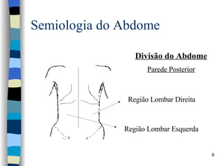 Semiologia do Abdome Divisão do Abdome Parede Posterior Região Lombar Direita Região Lombar Esquerda 