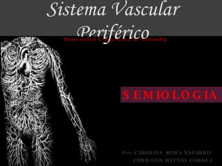 Sistema Vascular Periférico Por: CAROLINA  MORA NAVARRO CHRISTIAN MATTOS CORREA Universidad Cooperativa de Colombia SEMIOLOGIA 