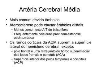 Artéria Cerebral Média Mais comum devido êmbolos Aterosclerose pode causar êmbolos distais Menos comumente AIT de baixo fluxo Freqüentemente colaterais previnem estenose assintomática Os ramos corticais da ACM suprem a superfície lateral do hemisfério cerebral, exceto: polo frontal e uma faixa junto do bordo superomedial dos lobos frontais e parietais (ACA) Superfície inferior dos polos temporais e occipitais (ACP) 