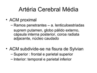 Artéria Cerebral Média ACM proximal Ramos penetrantes – a. lenticuloestriadas suprem putamen, globo pálido externo, cápsula interna posterior, coroa radiata adjacente, núcleo caudado ACM subdivide-se na fisura de Sylvian Superior : frontal e parietal superior Interior: temporal e parietal inferior 