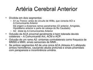Artéria Cerebral Anterior Dividida em dois segmentos: A1 ou Tronco: antes do circuito de Willis, que conecta ACI a A.Comunicante Anterior Dá origem a diveersos ramos penetrantes (CI anterior, Amigdala, Hipotálamo anterior e parte da cabeça do Nu Caudado) A2:  distal às A.Comunicantes Anterior Oclusão da ACA proximal geralmente é bem tolerada devido colaterais – A.Comunicante Ant, ACM e ACP. Oclusão de um ramo A2: sintomas contralaterais como fraqueza de MMSS e MMII, sinais sensoriais de MMII... Se ambos segmentos A2 de uma única ACA (Atresia A1) afetando ambos hemisférios, causando abulia profunda e sinais piramidais com paraparesia e incontinência urinária. 