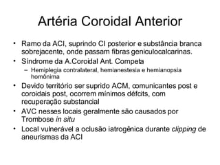 Artéria Coroidal Anterior Ramo da ACI, suprindo CI posterior e substância branca sobrejacente, onde passam fibras geniculocalcarinas. Síndrome da A.Coroidal Ant. Competa Hemiplegia contralateral, hemianestesia e hemianopsia homônima Devido território ser suprido ACM, comunicantes post e coroidais post, ocorrem mínimos défcits, com recuperação substancial AVC nesses locais geralmente são causados por Trombose  in situ Local vulnerável a oclusão iatrogênica durante  clipping  de aneurismas da ACI 