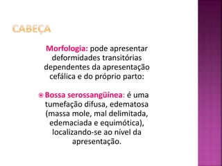 Morfologia: pode apresentar
deformidades transitórias
dependentes da apresentação
cefálica e do próprio parto:
 Bossa serossangüínea: é uma
tumefação difusa, edematosa
(massa mole, mal delimitada,
edemaciada e equimótica),
localizando-se ao nível da
apresentação.
 