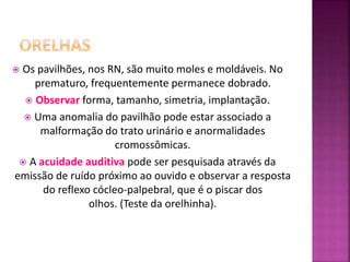  Os pavilhões, nos RN, são muito moles e moldáveis. No
prematuro, frequentemente permanece dobrado.
 Observar forma, tamanho, simetria, implantação.
 Uma anomalia do pavilhão pode estar associado a
malformação do trato urinário e anormalidades
cromossômicas.
 A acuidade auditiva pode ser pesquisada através da
emissão de ruído próximo ao ouvido e observar a resposta
do reflexo cócleo-palpebral, que é o piscar dos
olhos. (Teste da orelhinha).
 