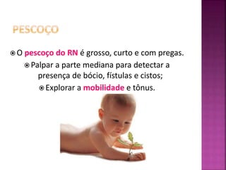  O pescoço do RN é grosso, curto e com pregas.
 Palpar a parte mediana para detectar a
presença de bócio, fístulas e cistos;
 Explorar a mobilidade e tônus.
 