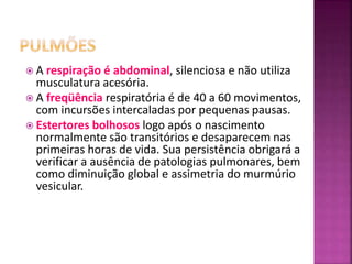  A respiração é abdominal, silenciosa e não utiliza
musculatura acesória.
 A freqüência respiratória é de 40 a 60 movimentos,
com incursões intercaladas por pequenas pausas.
 Estertores bolhosos logo após o nascimento
normalmente são transitórios e desaparecem nas
primeiras horas de vida. Sua persistência obrigará a
verificar a ausência de patologias pulmonares, bem
como diminuição global e assimetria do murmúrio
vesicular.
 