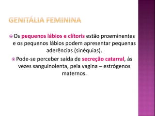  Os pequenos lábios e clítoris estão proeminentes
e os pequenos lábios podem apresentar pequenas
aderências (sinéquias).
 Pode-se perceber saída de secreção catarral, às
vezes sanguinolenta, pela vagina – estrógenos
maternos.
 