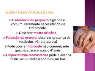  A aderência do prepúcio à glande é
comum, raramente necessitando de
tratamento.
 Observar meato urinário.
 Palpação do escroto, observar presença de
testículos. (Criptorquidia)
 Pode ocorrer hidrocele não-comunicante
que desaparece após o 4° mês.
 A hiperreflexia cremastérica pode elevar os
testículos durante o choro ou no frio.
 