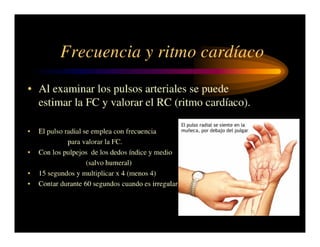 Pulso Triangular Semiologia PULSO ARTERIAL | PDF