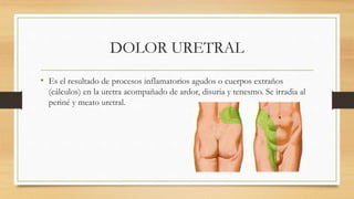 DOLOR URETRAL
• Es el resultado de procesos inflamatorios agudos o cuerpos extraños
(cálculos) en la uretra acompañado de ardor, disuria y tenesmo. Se irradia al
periné y meato uretral.
 