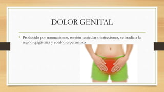 DOLOR GENITAL
• Producido por traumatismos, torsión testicular o infecciones, se irradia a la
región epigástrica y cordón espermático.
 