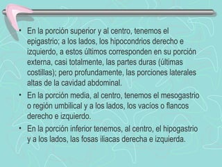 • En la porción superior y al centro, tenemos el
  epigastrio; a los lados, los hipocondrios derecho e
  izquierdo, a estos últimos corresponden en su porción
  externa, casi totalmente, las partes duras (últimas
  costillas); pero profundamente, las porciones laterales
  altas de la cavidad abdominal.
• En la porción media, al centro, tenemos el mesogastrio
  o región umbilical y a los lados, los vacíos o flancos
  derecho e izquierdo.
• En la porción inferior tenemos, al centro, el hipogastrio
  y a los lados, las fosas iliacas derecha e izquierda.
 