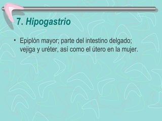 7. Hipogastrio
• Epiplón mayor; parte del intestino delgado;
  vejiga y uréter, así como el útero en la mujer.
 